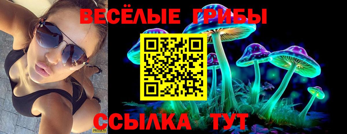 Галлюциногенные грибы GOLDEN TEACHER Кашира