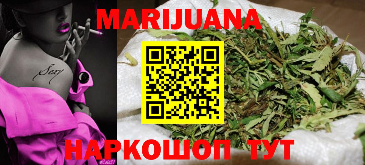 Конопля сатива Кашира